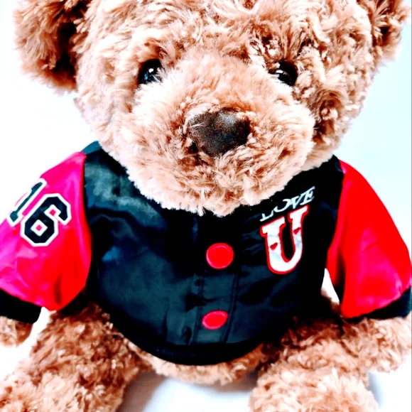 EUC Dan Dee Collector's Plush 17 " Brown Teddy Bear with Love U on the jacket - Picture 4 of 14